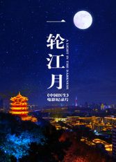 一轮江月中国医生(全集)